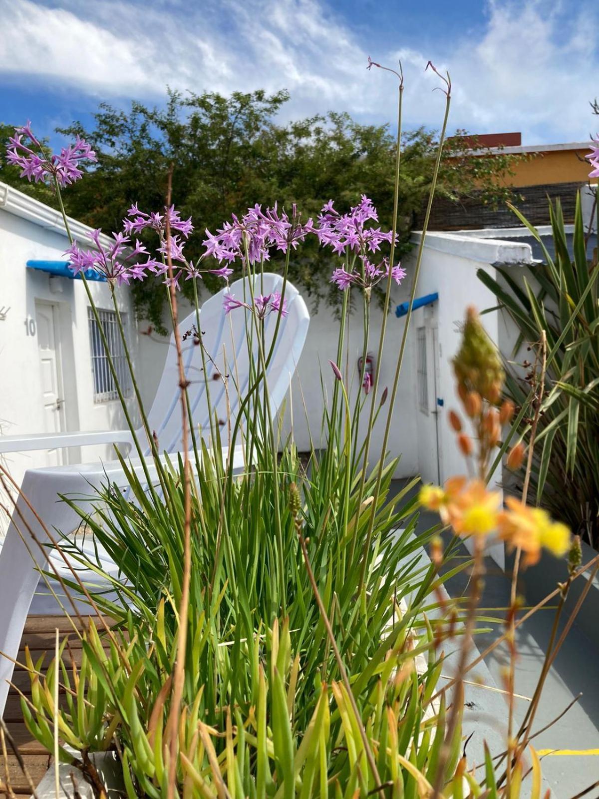 Hostel Hola Ola Villa Gesell Exterior photo